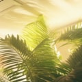 Cleaner Ducts, Better Filters: Top 17x21x1 Air Filters for Allergy Relief